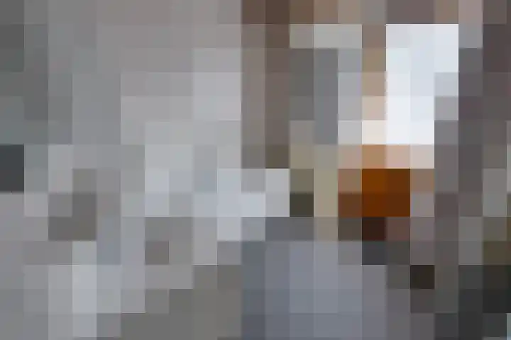 Slimstraat 115 Udenhout thumbnail 33