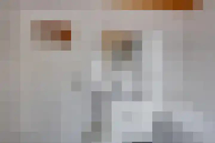 Slimstraat 115 Udenhout thumbnail 34