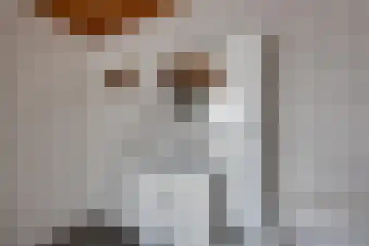 Slimstraat 115 Udenhout thumbnail 35