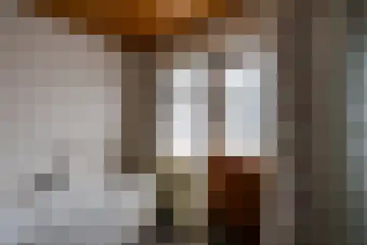 Slimstraat 115 Udenhout thumbnail 37