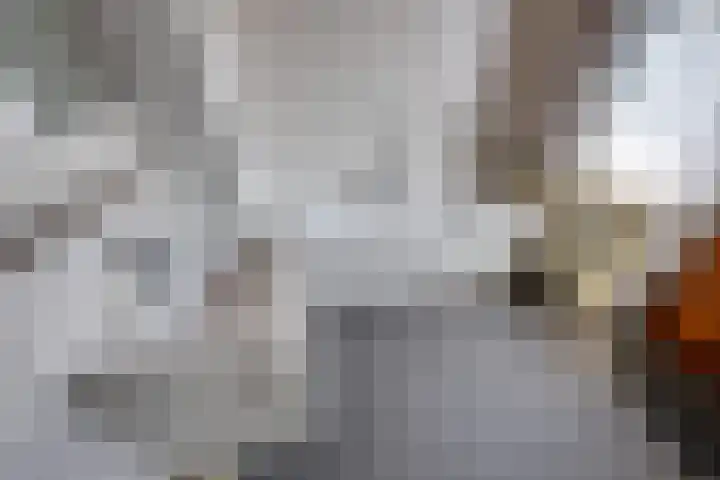 Slimstraat 115 Udenhout thumbnail 38