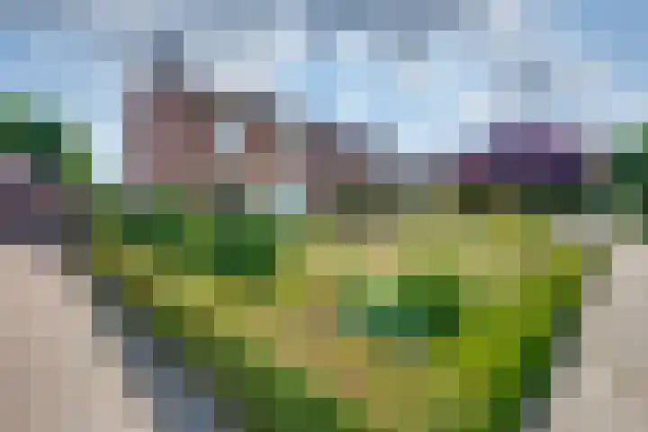 Slimstraat 115 Udenhout thumbnail 4