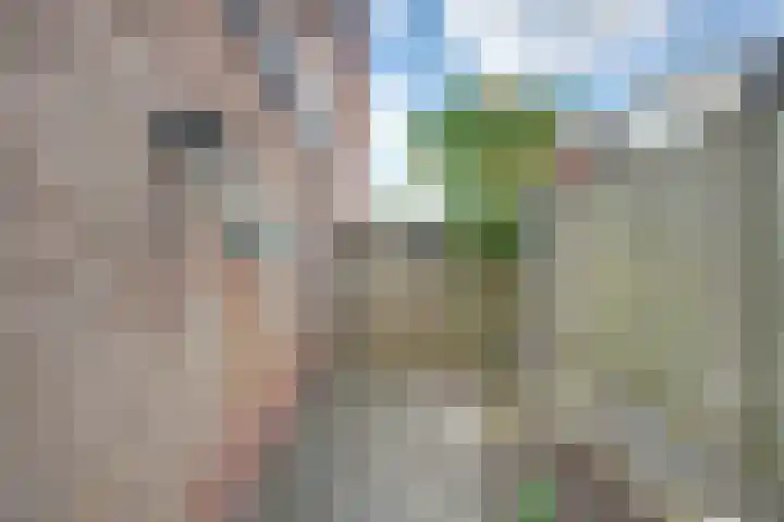 Slimstraat 115 Udenhout thumbnail 45