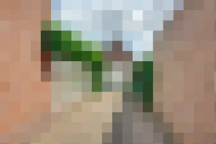 Slimstraat 115 Udenhout thumbnail 7