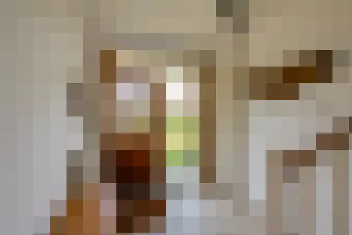Slimstraat 115 Udenhout thumbnail 8