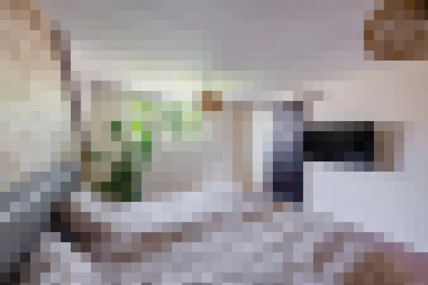 Slimstraat 32 Udenhout thumbnail 35