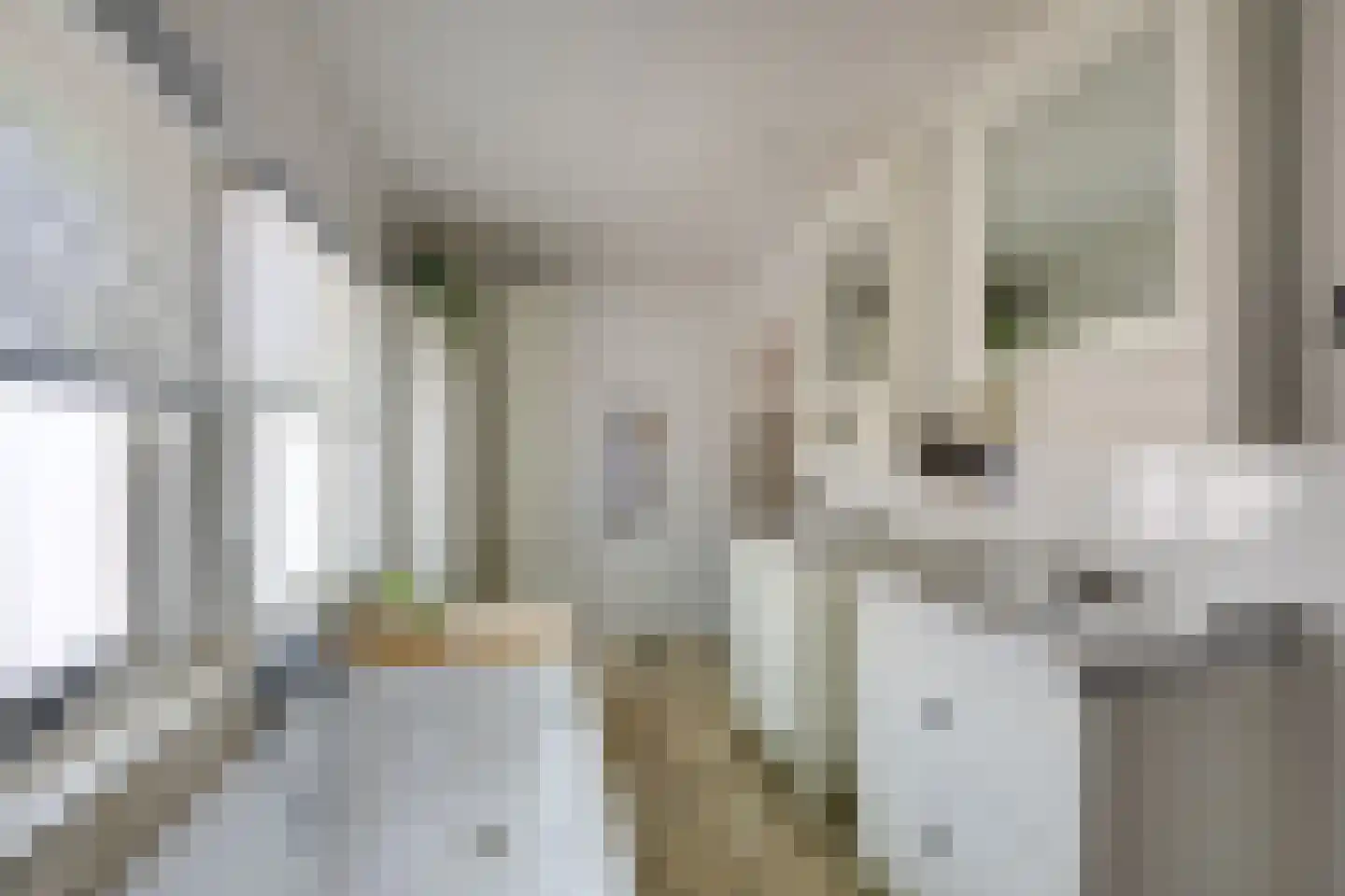 Slimstraat 32 Udenhout thumbnail 47