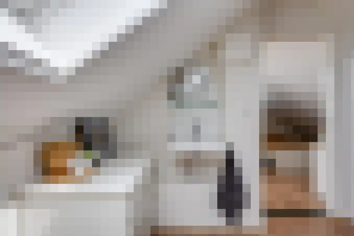 Slimstraat 32 Udenhout thumbnail 50