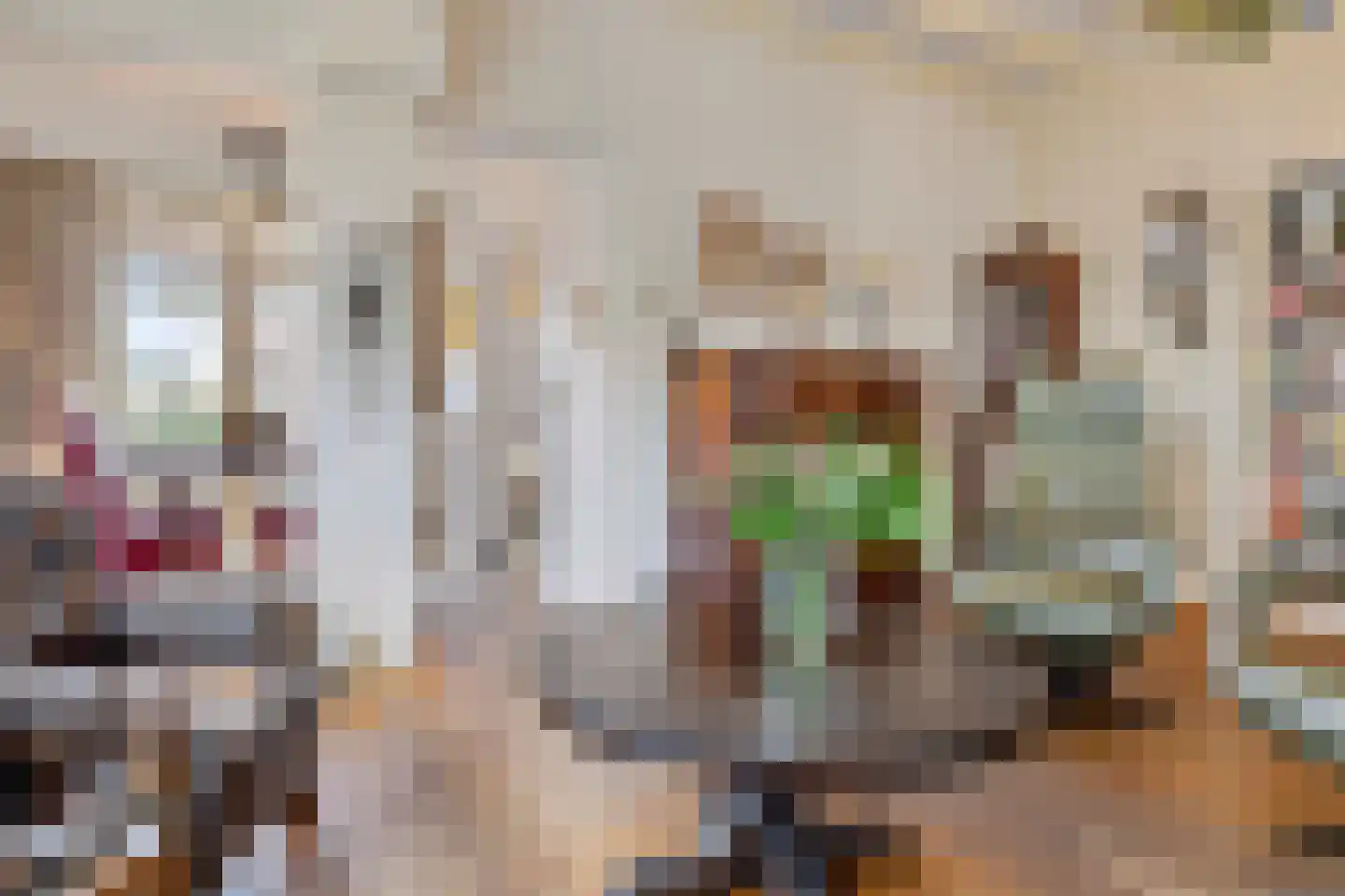 Slimstraat 39 Udenhout thumbnail 10