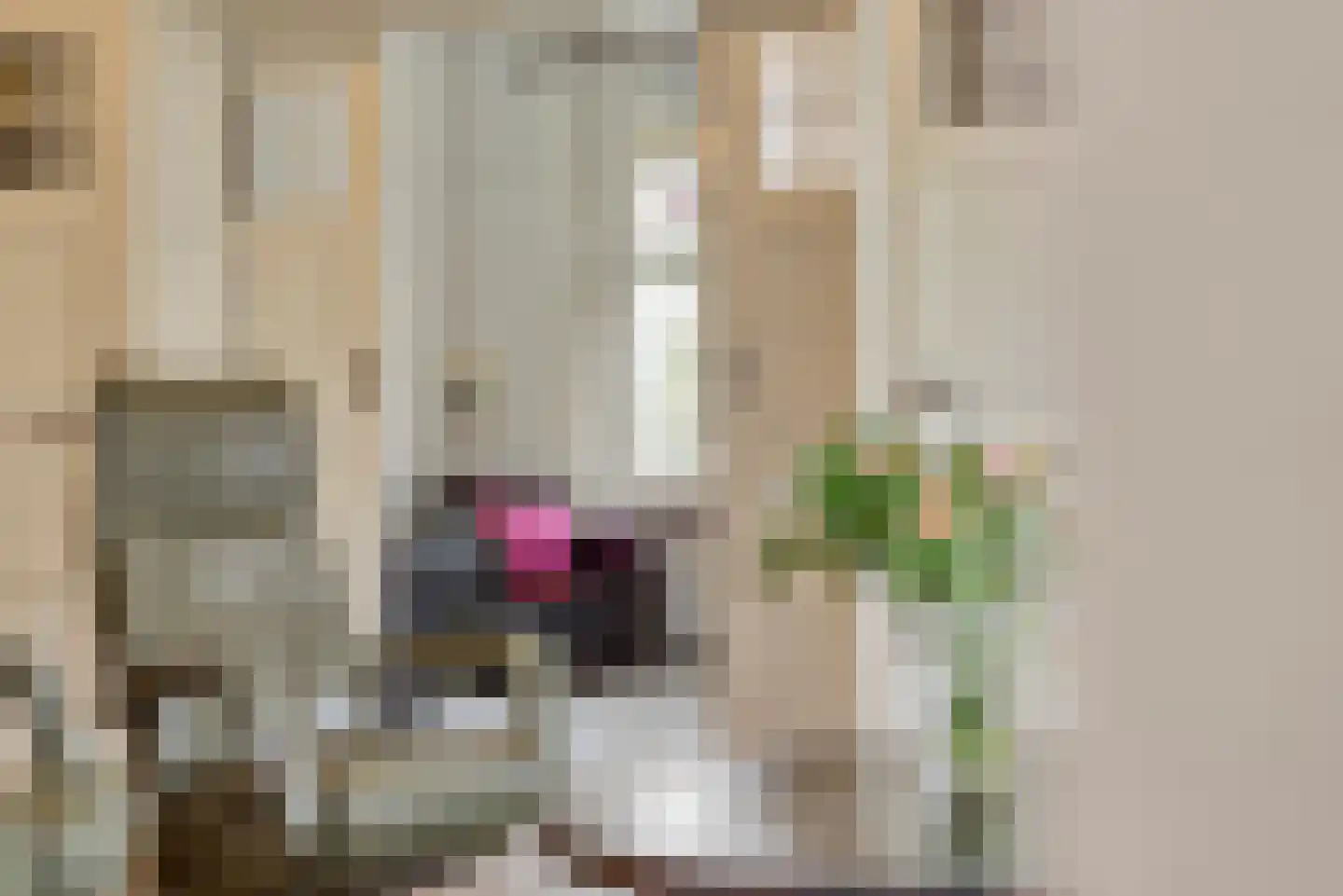 Slimstraat 39 Udenhout thumbnail 9