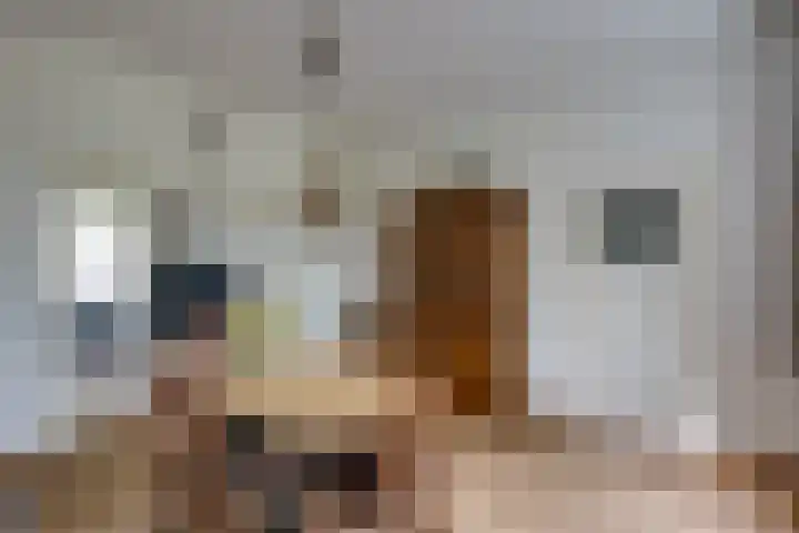 Slimstraat 45 Udenhout thumbnail 13