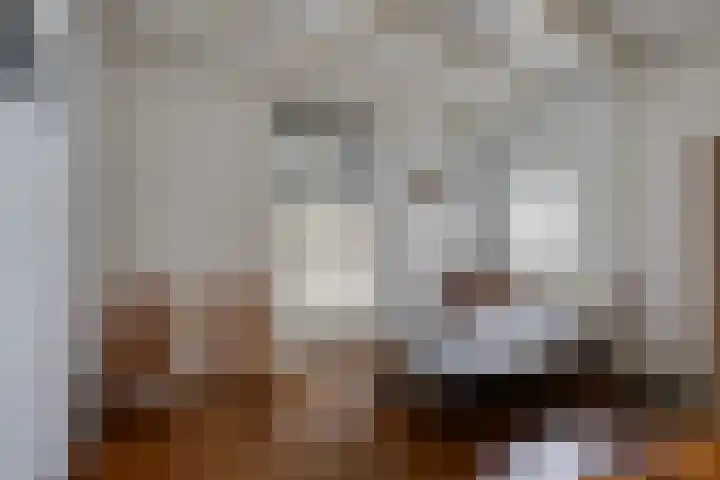 Slimstraat 45 Udenhout thumbnail 21