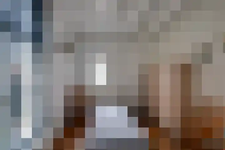 Slimstraat 45 Udenhout thumbnail 22