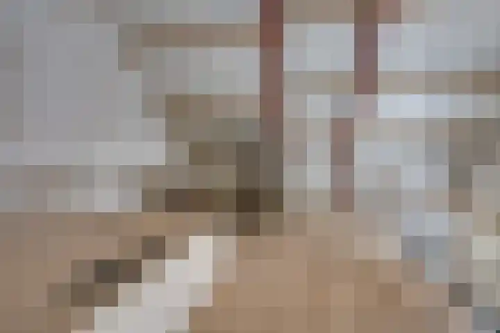 Slimstraat 45 Udenhout thumbnail 37