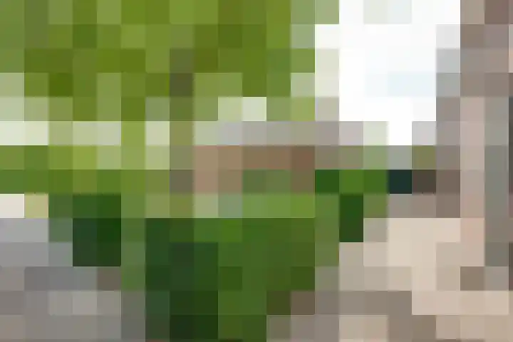 Slimstraat 45 Udenhout thumbnail 44