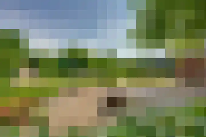 Slimstraat 45 Udenhout thumbnail 58