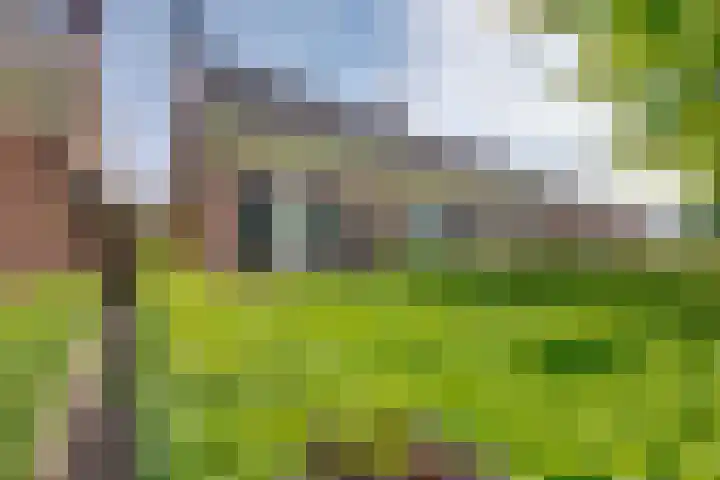 Slimstraat 45 Udenhout thumbnail 82