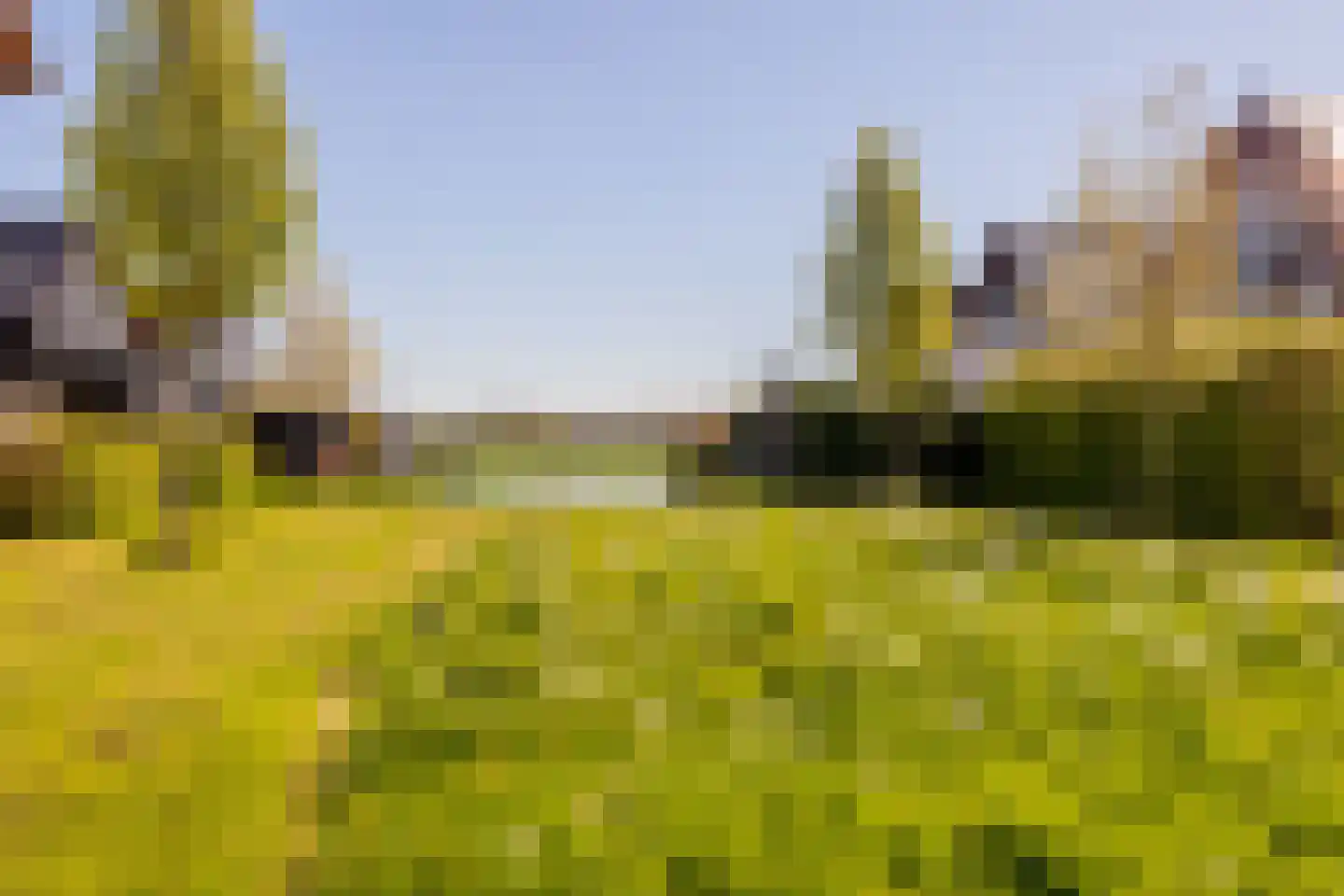 Slimtocht 33 Berkhout thumbnail 41