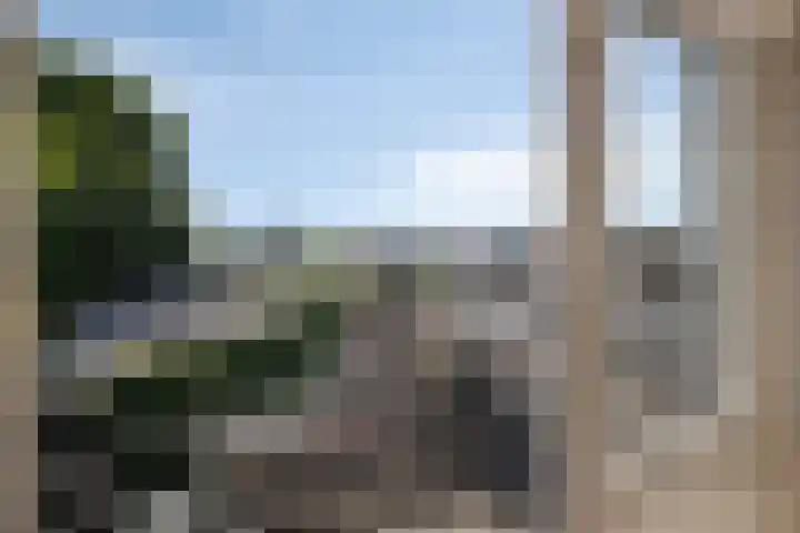 Slindewaterstraat 1 a Zutphen thumbnail 17