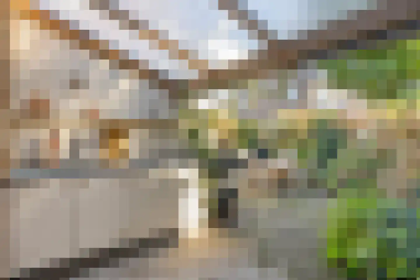 Slindewaterstraat 60 Zutphen thumbnail 37