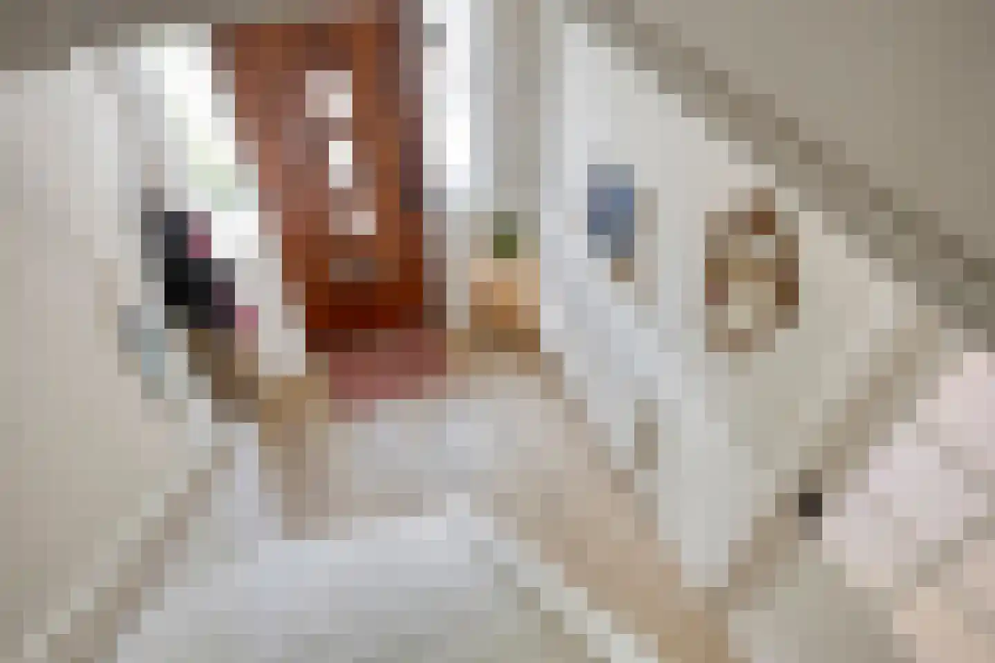 Slindewaterstraat 67 Zutphen thumbnail 7