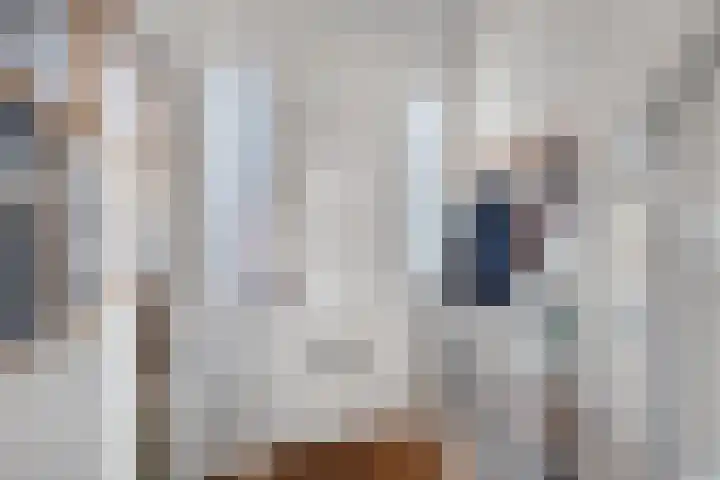 Slindewaterstraat 69 Zutphen thumbnail 5