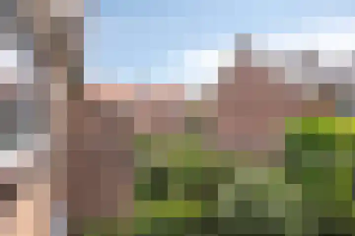 Slindewaterstraat 70 Zutphen thumbnail 22