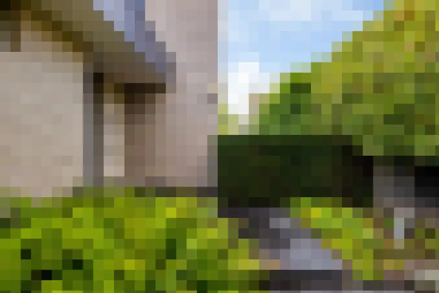 Slinge 44 Drachten thumbnail 11