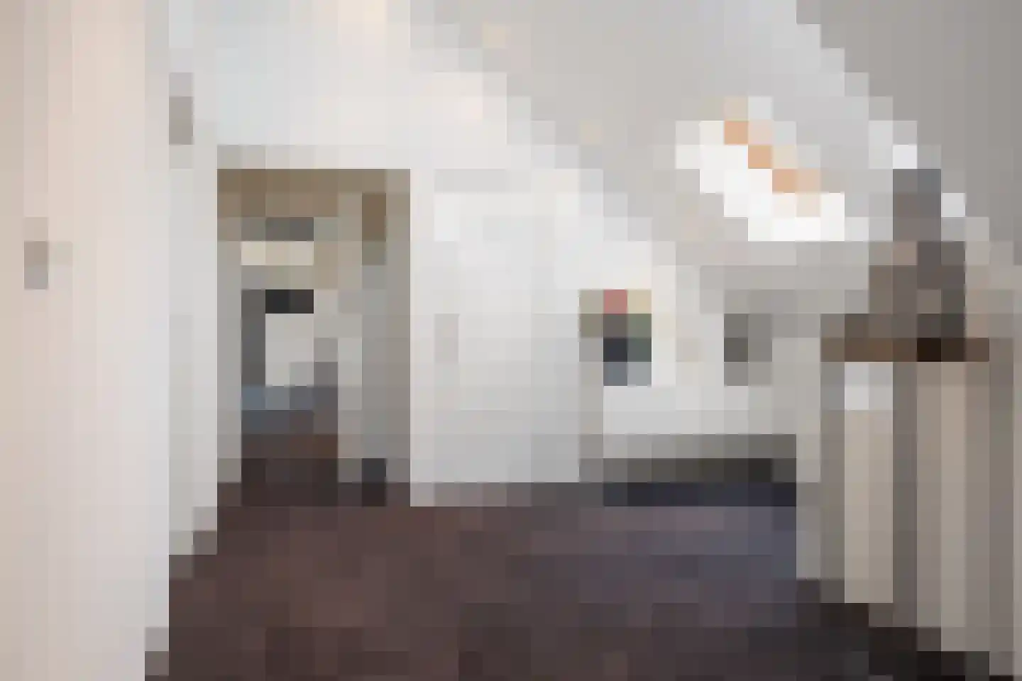 Slinge 44 Drachten thumbnail 39