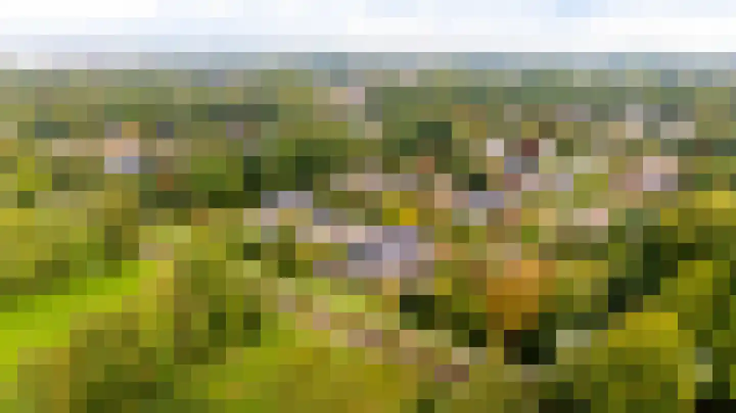 Slinge 44 Drachten thumbnail 6