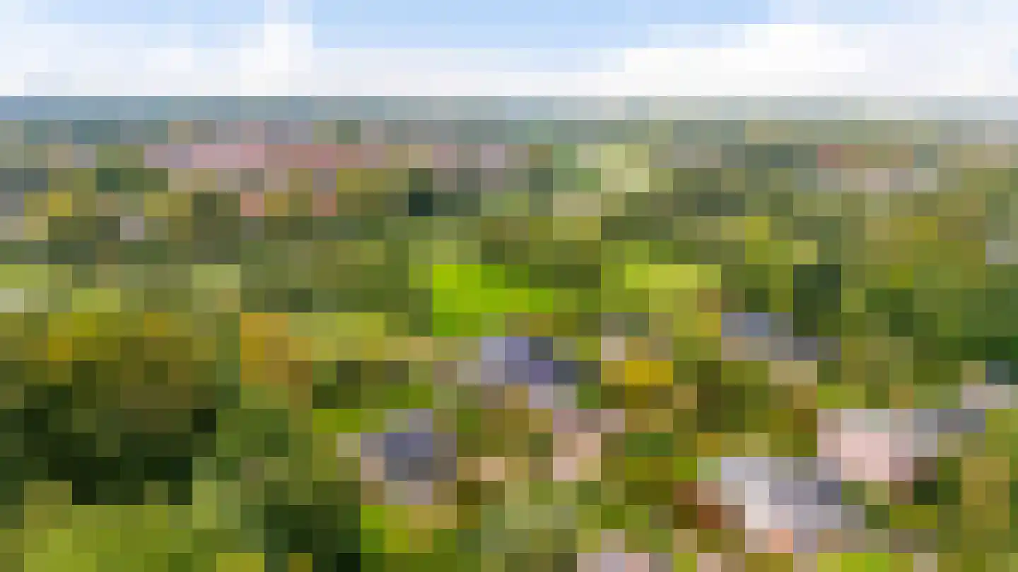 Slinge 44 Drachten thumbnail 7