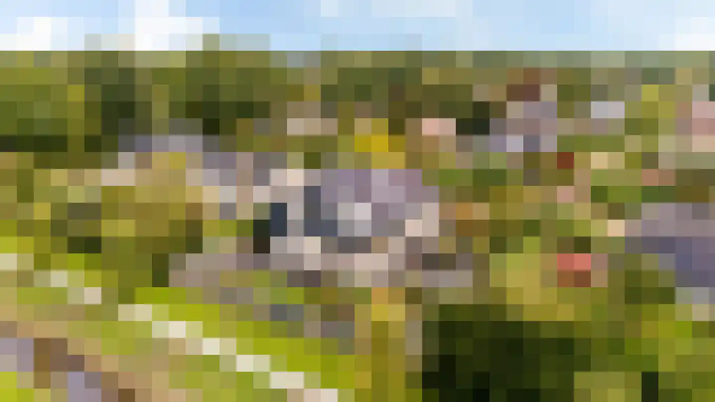 Slinge 44 Drachten thumbnail 77