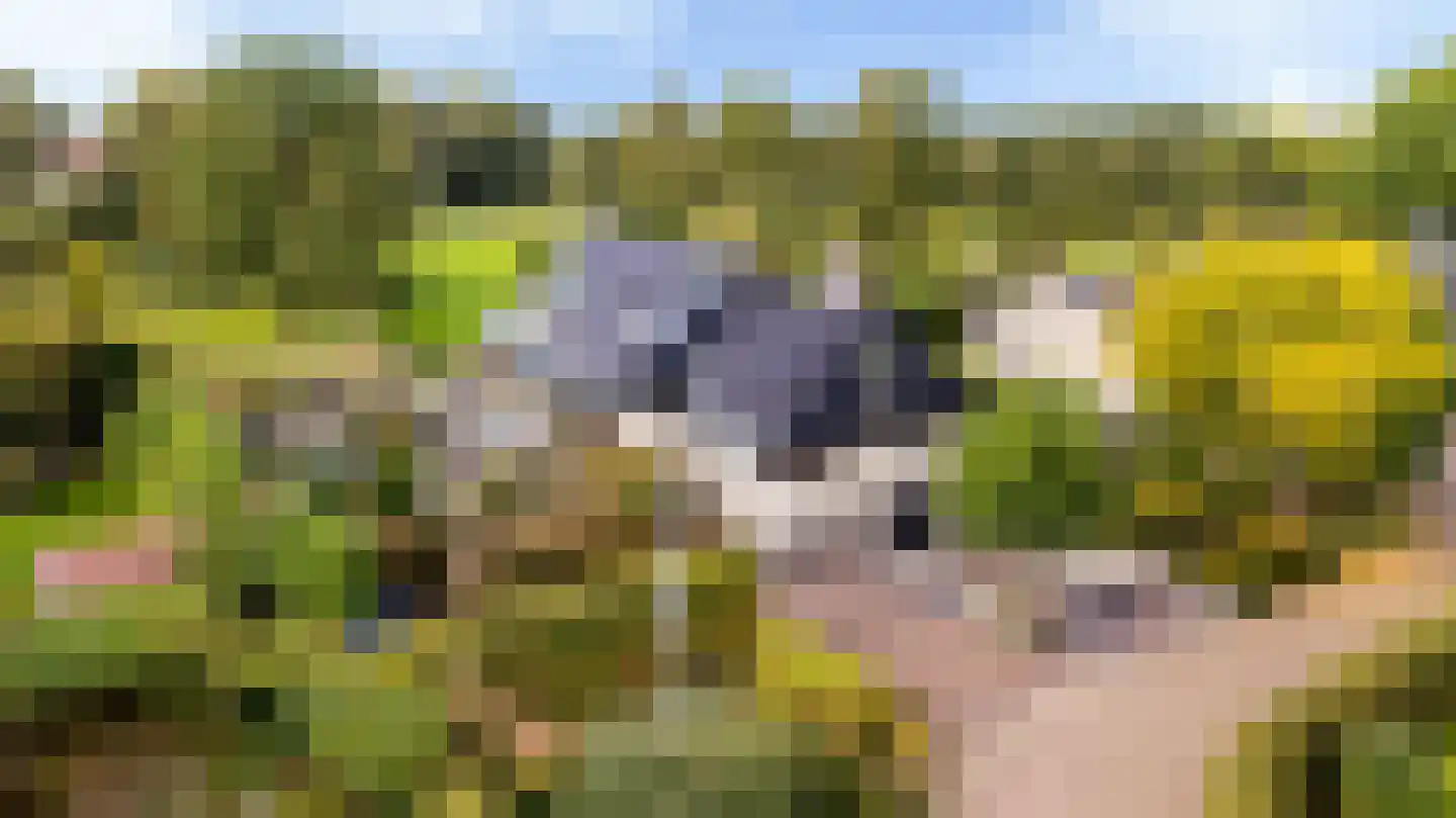 Slinge 44 Drachten thumbnail 8