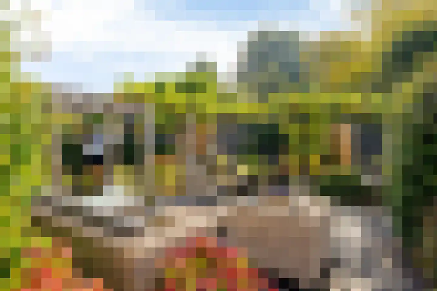 Slinge 44 Drachten thumbnail 80