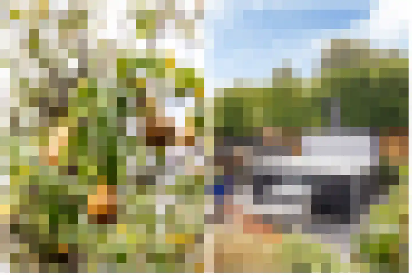 Slinge 44 Drachten thumbnail 86