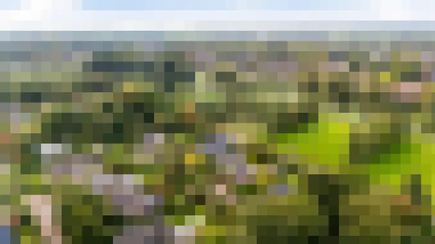 Slinge 44 Drachten thumbnail 89