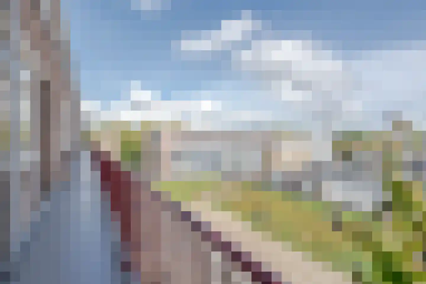 Slinge 668 Rotterdam thumbnail 27