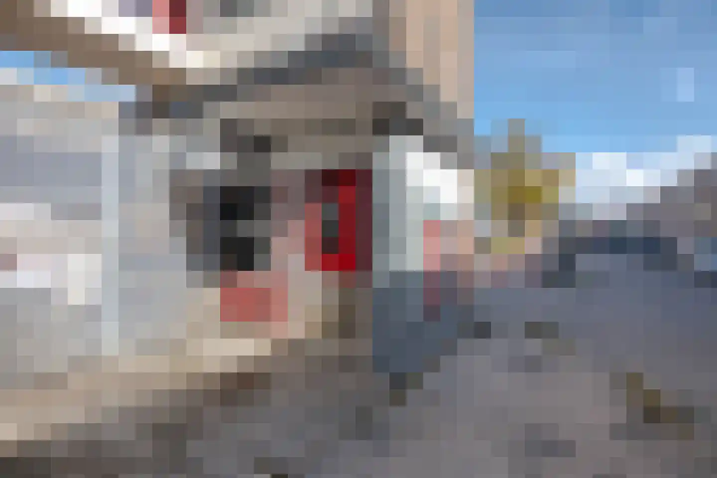 Slinge 668 Rotterdam thumbnail 8