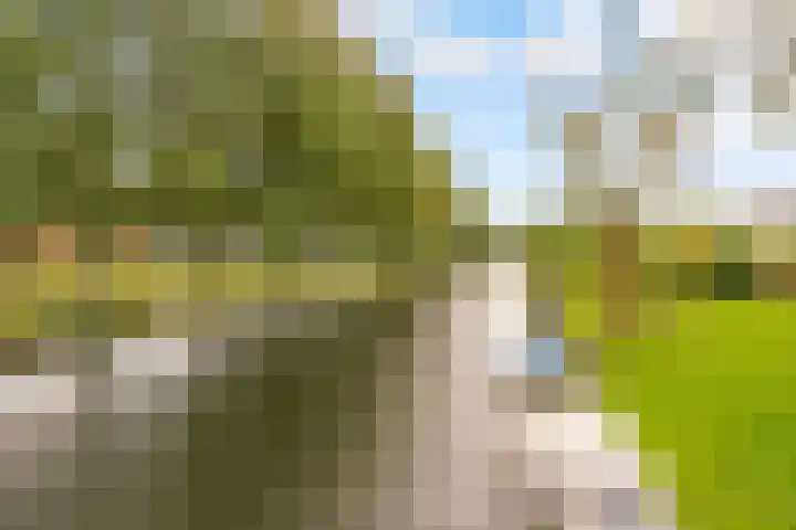 Slingebeekstraat 11 Almere thumbnail 62