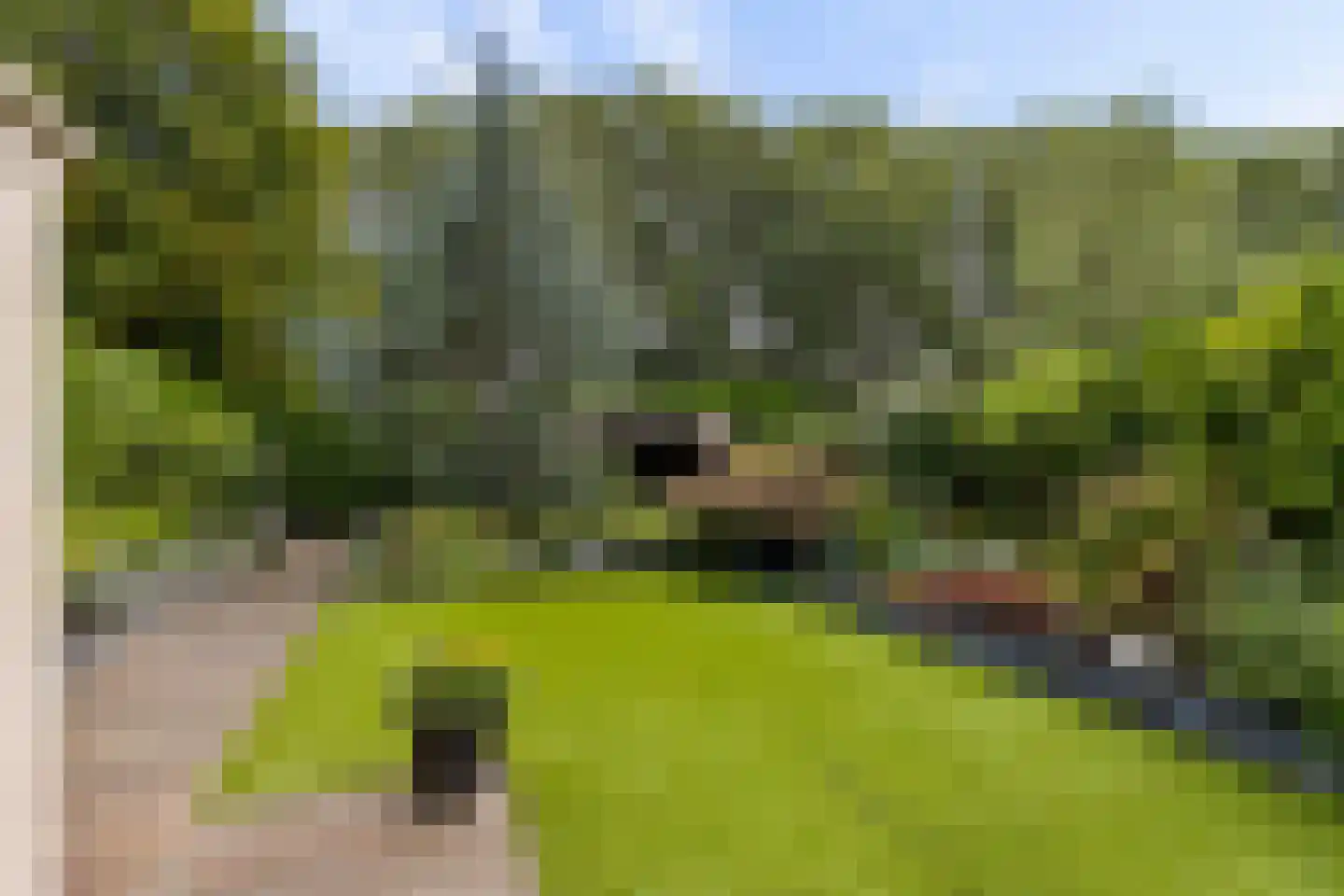 Slingebeekstraat 92 Almere thumbnail 4