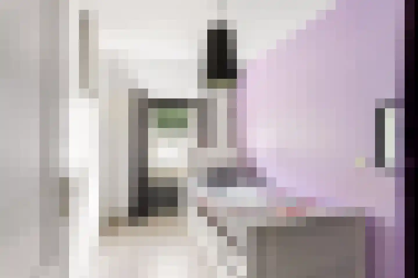 Slingebeekstraat 92 Almere thumbnail 42