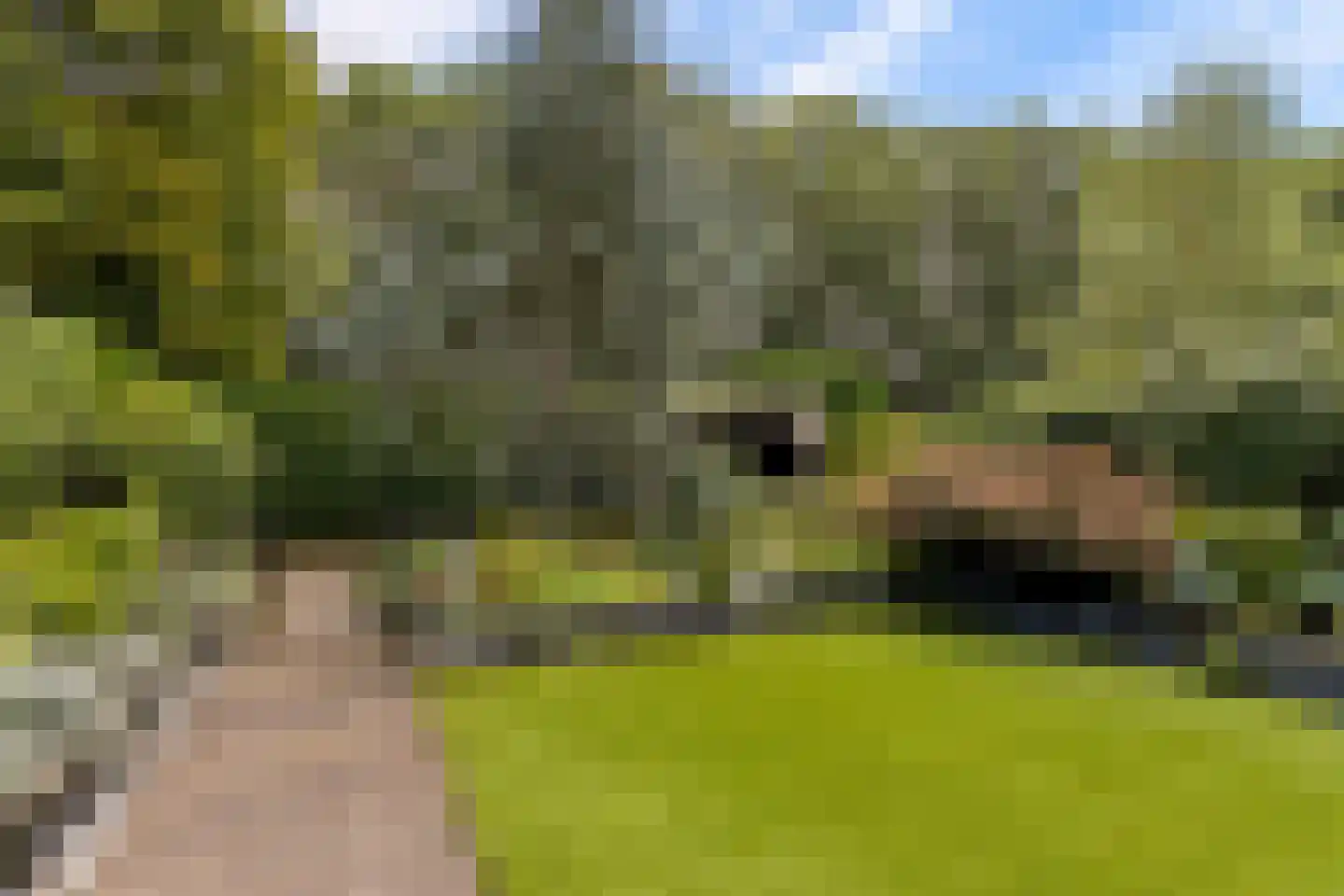 Slingebeekstraat 92 Almere thumbnail 66