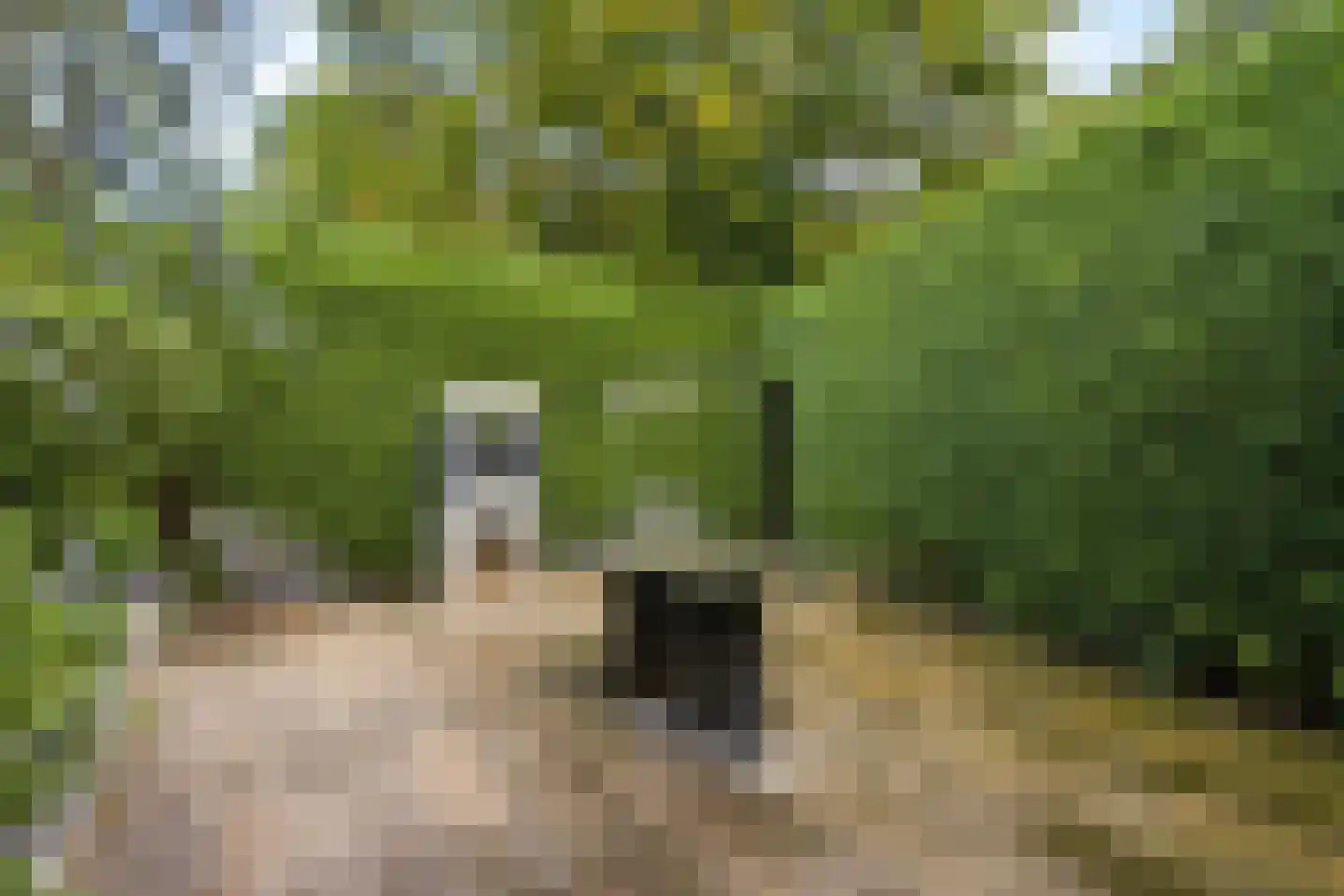 Slingebeekstraat 92 Almere thumbnail 70