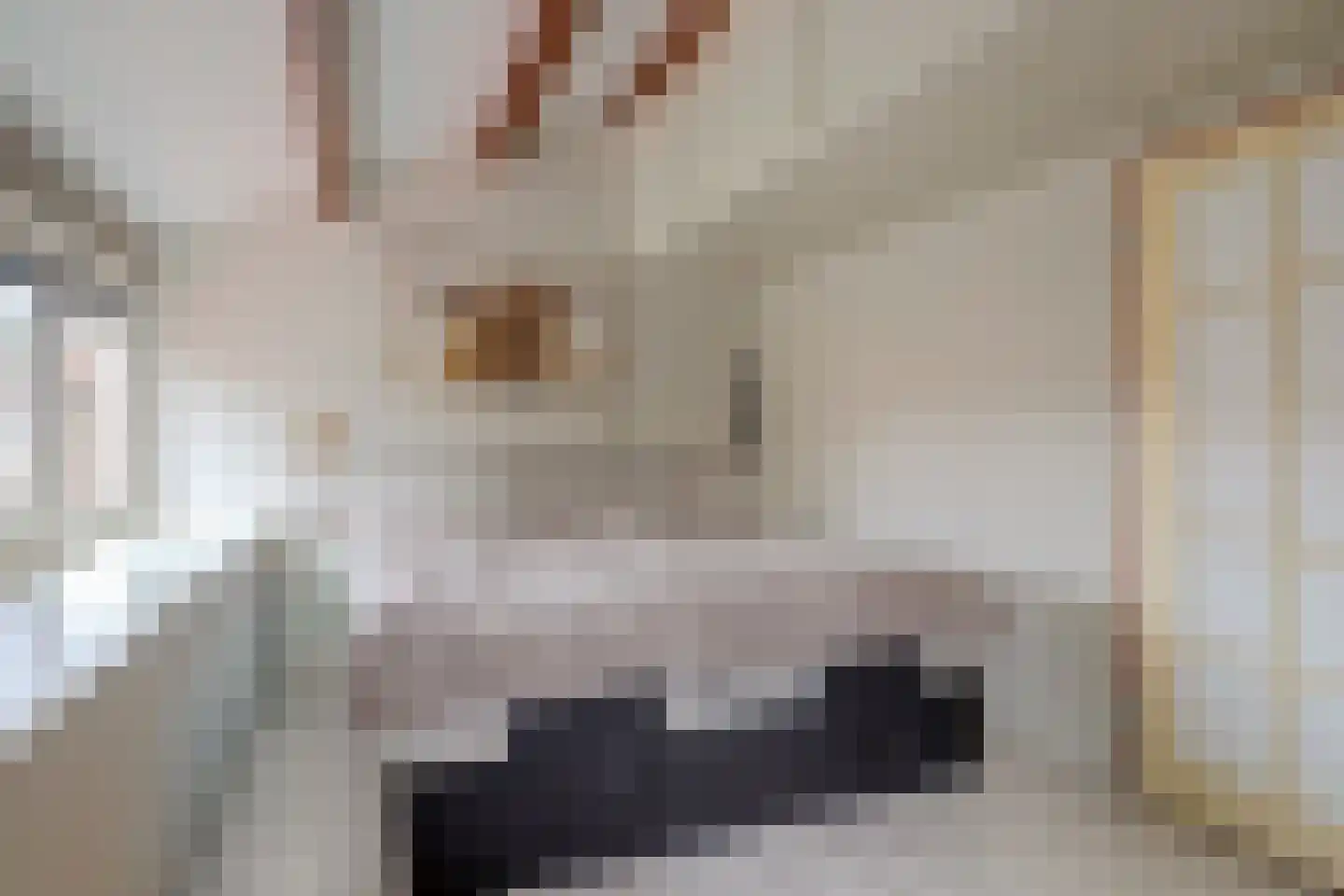 Slingehof 10 Ridderkerk thumbnail 22