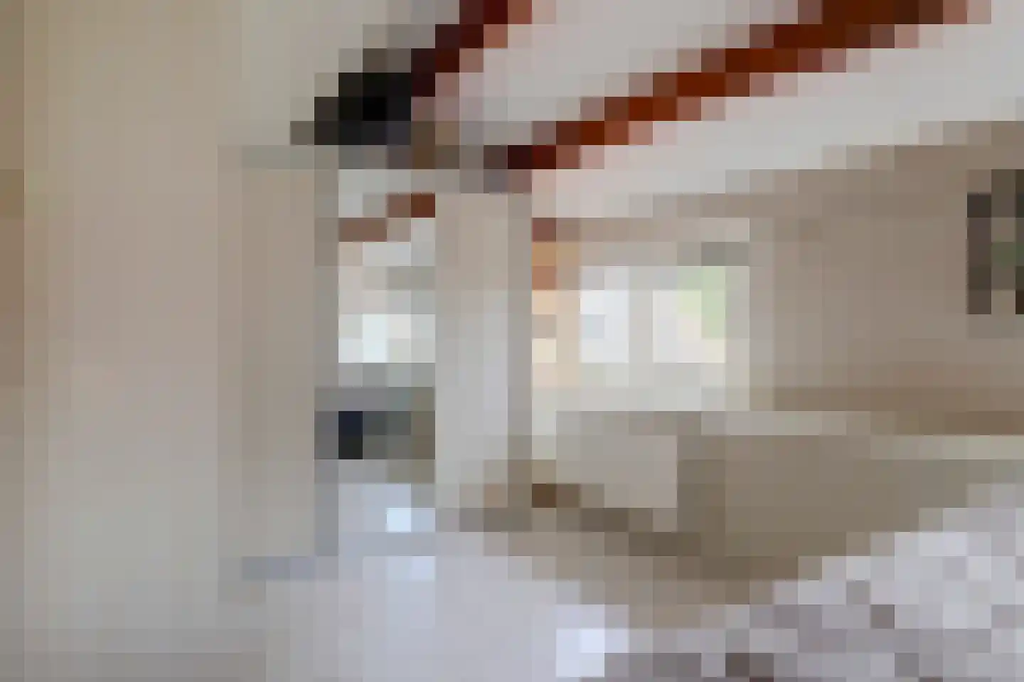 Slingehof 10 Ridderkerk thumbnail 23