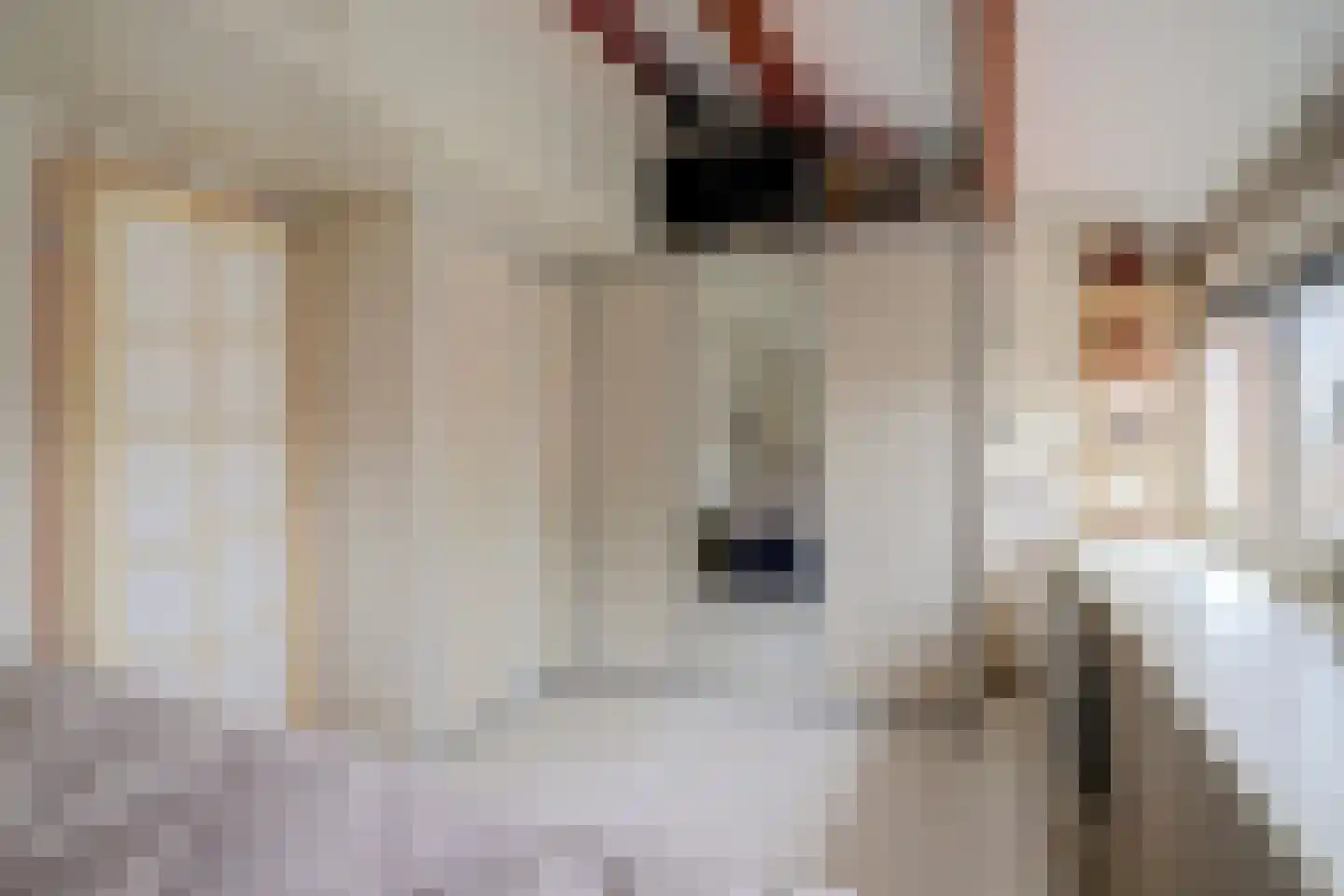 Slingehof 10 Ridderkerk thumbnail 24
