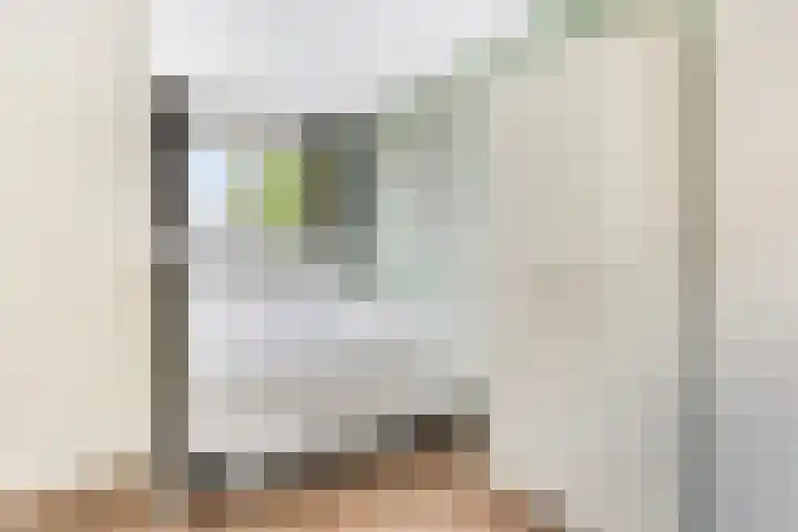 Slingehof 3 Ridderkerk thumbnail 20