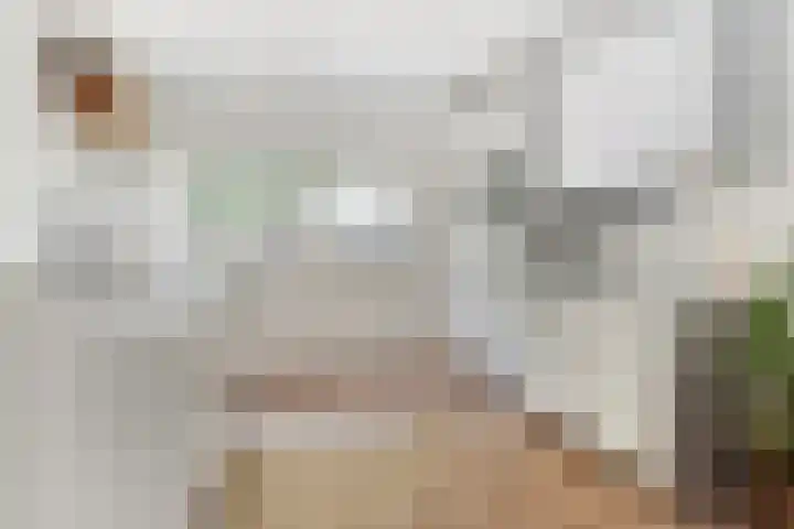 Slingehof 3 Ridderkerk thumbnail 6