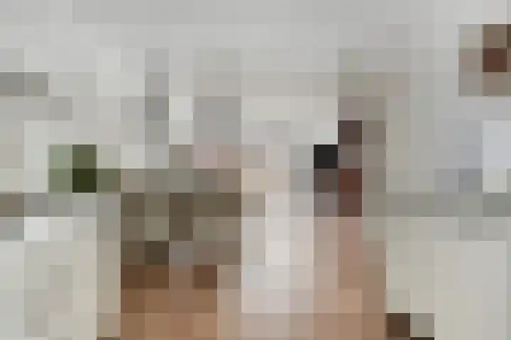 Slingehof 3 Ridderkerk thumbnail 8
