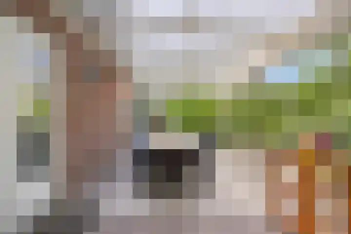 Slingehof 38 Ridderkerk thumbnail 16